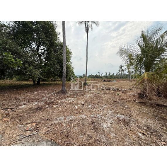 Земля у моря на Ко Ронге участок на курорте 36059м², изображение 11