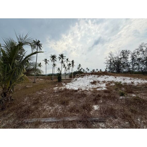 Земля у моря на Ко Ронге участок на курорте 36059м², изображение 15